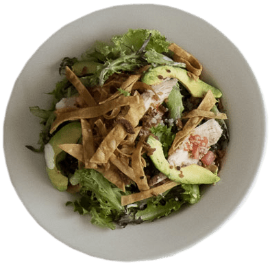 Avacado_Chicken_Chop