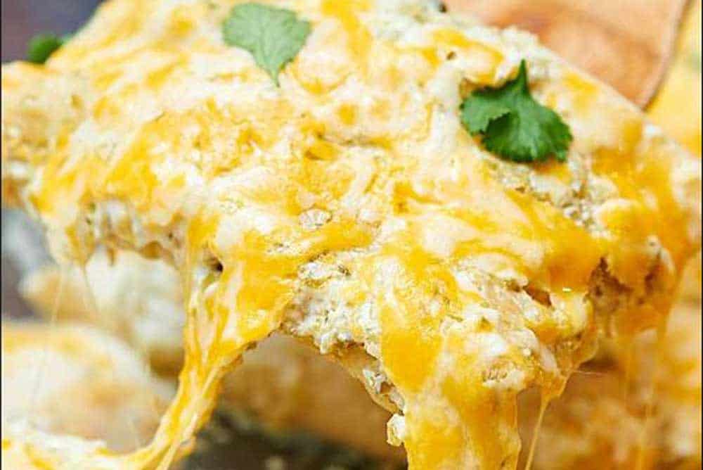 chicken-or-carnita-enchliladas chicken or carnita enchiladas divine dinnerz epic egg restaurants